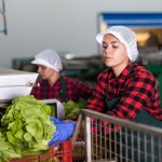 ​Stopa bezrobocia w Polsce ani drgnie