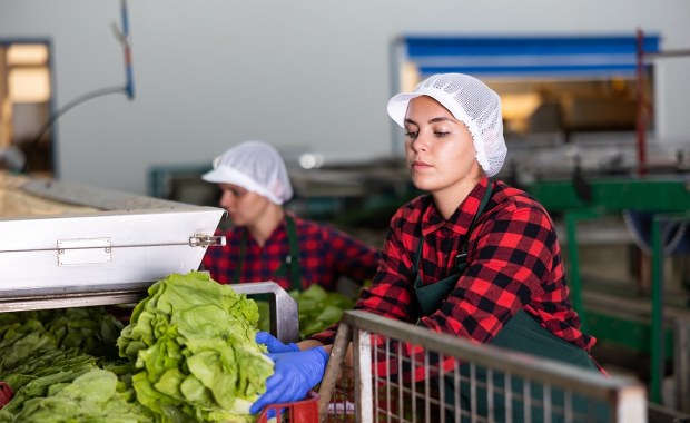 ​Stopa bezrobocia w Polsce ani drgnie