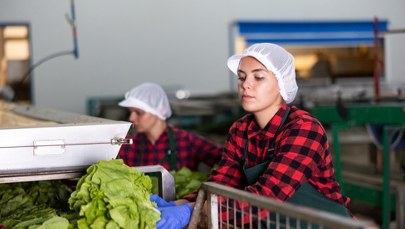 ​Stopa bezrobocia w Polsce ani drgnie