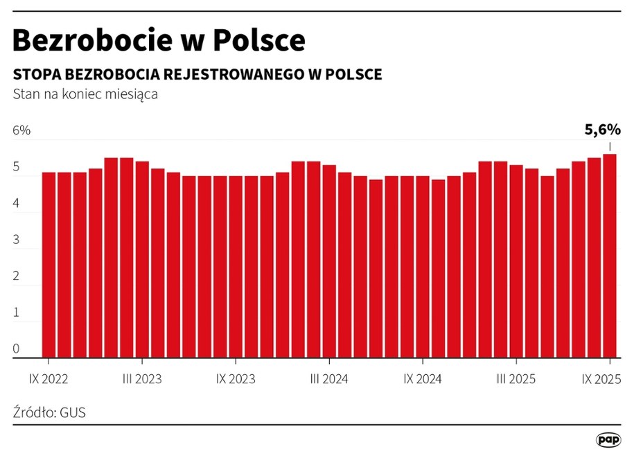 Stopa bezrobocia w Polsce /Michał Czernek /PAP