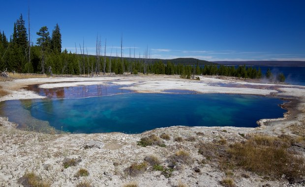 Stopa w gorącym źródle. Makabryczne odkrycie w Yellowstone