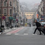 Stopa zatrudnienia Polaków w Belgii wyższa niż wśród Belgów