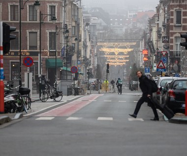 Stopa zatrudnienia Polaków w Belgii wyższa niż wśród Belgów