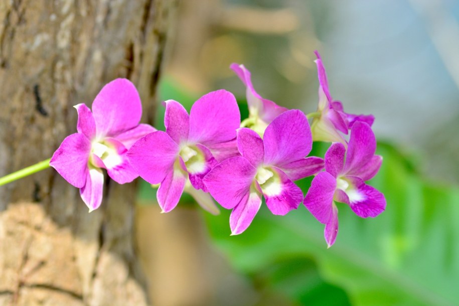 Lubelszczyzna: Powstały cztery nowe rezerwaty przyrody, gdzie je znaleźć?