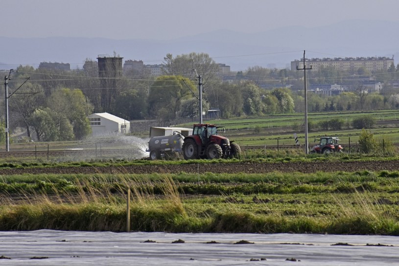 Stosowanie chemicznych pestycydów jest śmiertelnie niebezpieczne dla pszczół /East News