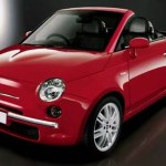 Stosunek w blasku słońca