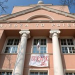 Strajk nauczycieli: Piosenka ze szkoły w Kielcach podbija sieć ("Belfer nie świnia" - tekst)