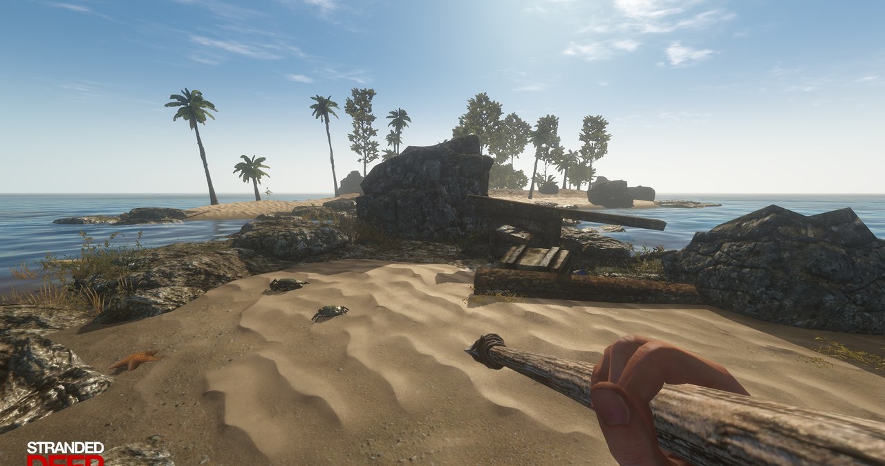 Stranded Deep /materiały prasowe