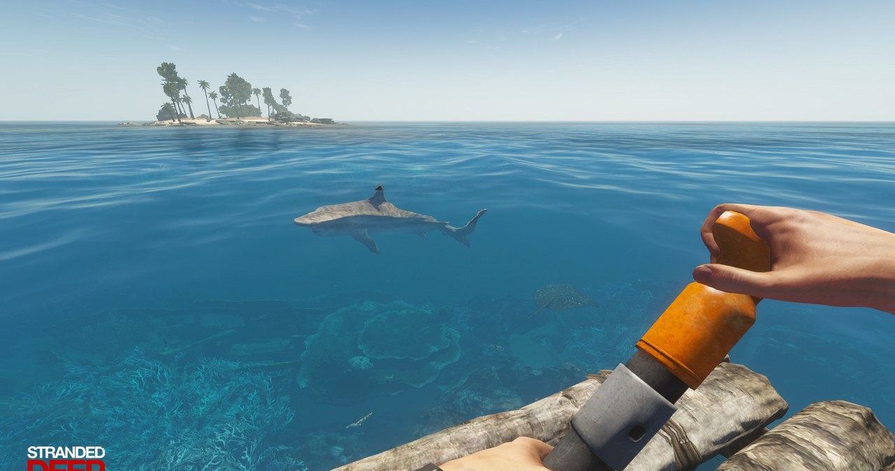 Stranded Deep /materiały prasowe