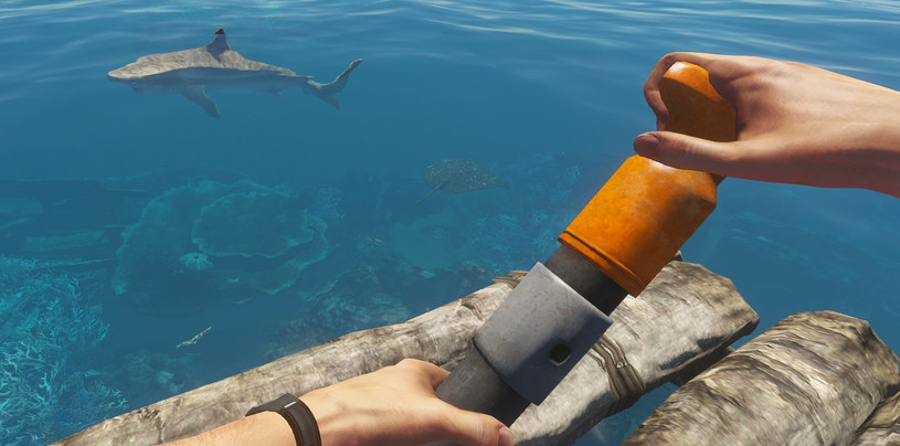 Stranded Deep /materiały prasowe