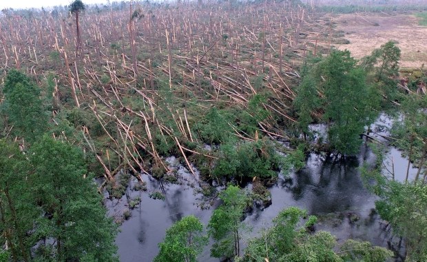 Straty po nawałnicach. Nie ma lasów - nie będzie podatków