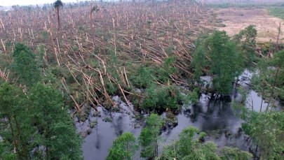 Straty po nawałnicach. Nie ma lasów - nie będzie podatków