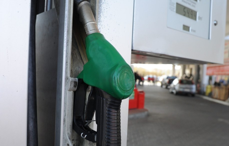 Straty Skarbu Państwa spowodowane działalnością grupy oszacowano na ponad 30 mln zł /Marcin Bielecki /PAP