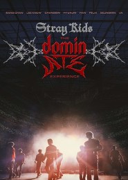 Stray Kids: The dominATE Experience