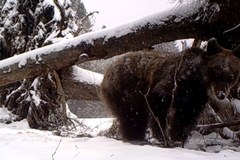 Straż graniczna "oko w oko" z naturą