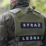 Straż Leśna rozpoczęła obławę. Posypią się mandaty