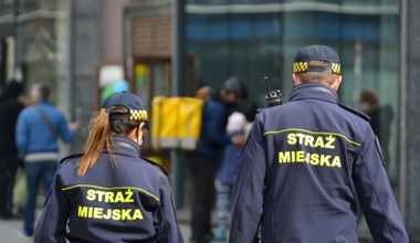 Straż miejska już puka do mieszkań. Za brak wpisu będzie grzywna