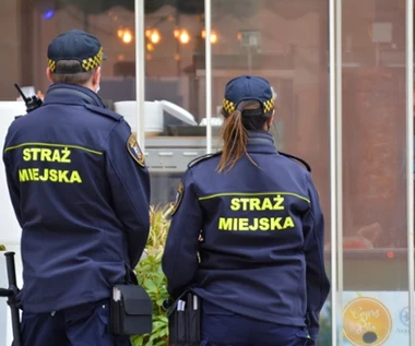 Straż miejska ostrzega nie tylko rodziców. Możecie zapłacić 500 zł kary