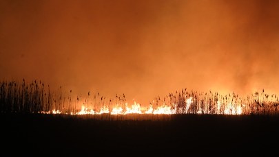 Straż pożarna: Pożar w Biebrzańskim Parku Narodowym nie powiększa się