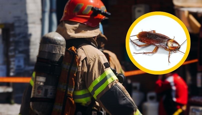 Straż pożarna (zdjęcie poglądowe) /Shutterstock