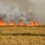 Strażacy apelują, by nie wypalać traw: To trudne, niebezpieczne akcje