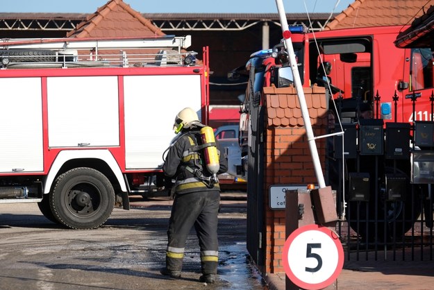 Strażacy dogaszają pożar nielegalnego składowiska odpadów / 	Andrzej Grygiel    /PAP