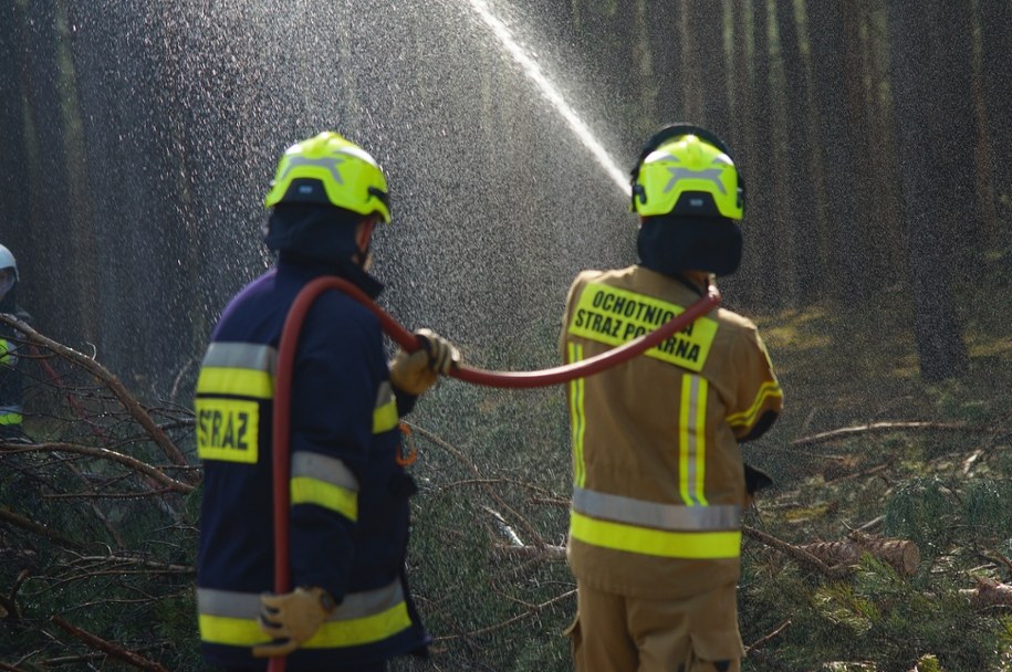 ​Duży pożar lasu na Pomorzu. W akcji gaśniczej wykorzystano samolot