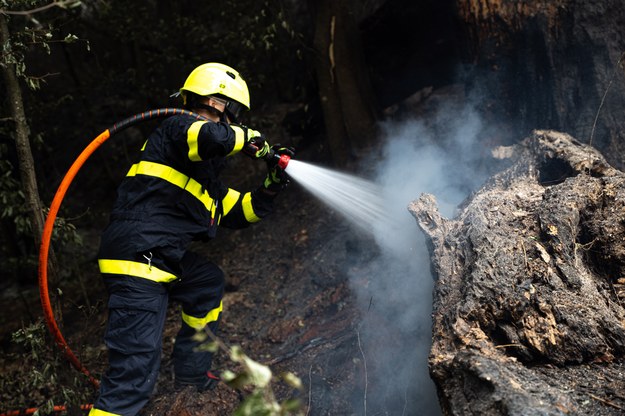 Strażacy gaszą pożar w Czeskiej Szwajcarii /Ray Baseley /PAP/EPA