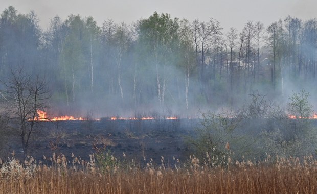 Strażacy już wyjeżdżają do pierwszych pożarów traw