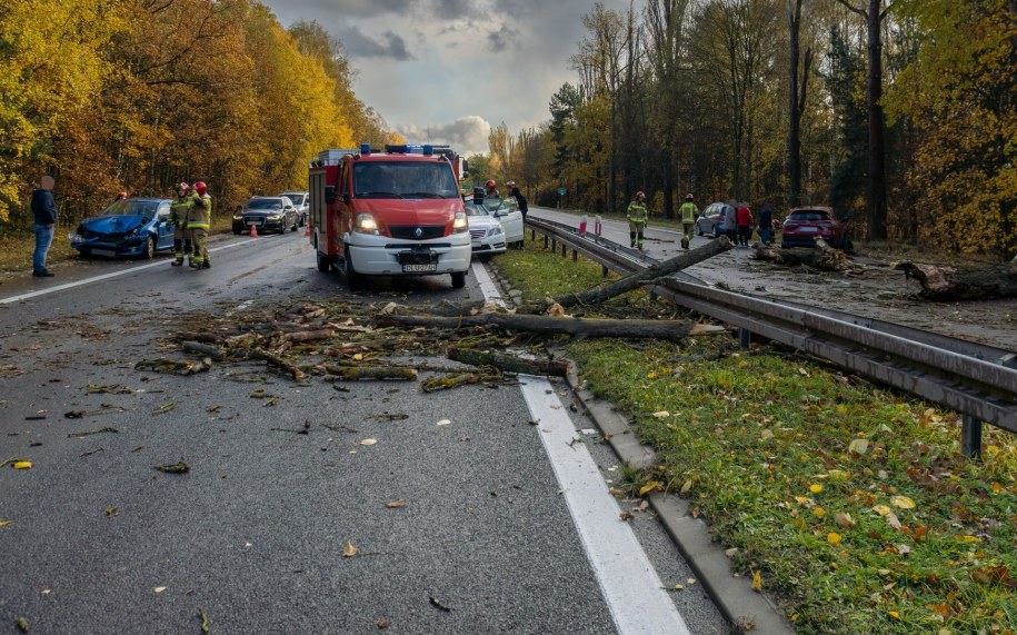 Strażacy mają pełne ręce roboty /KP PSP Lubin /