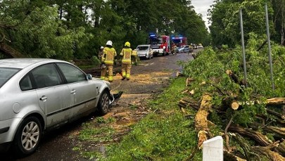 Strażacy mieli pełne ręce roboty. Kilkaset zgłoszeń po sobotnich burzach