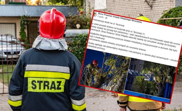 Strażacy musieli wzywać lawetę. Auta blokowały dojazd