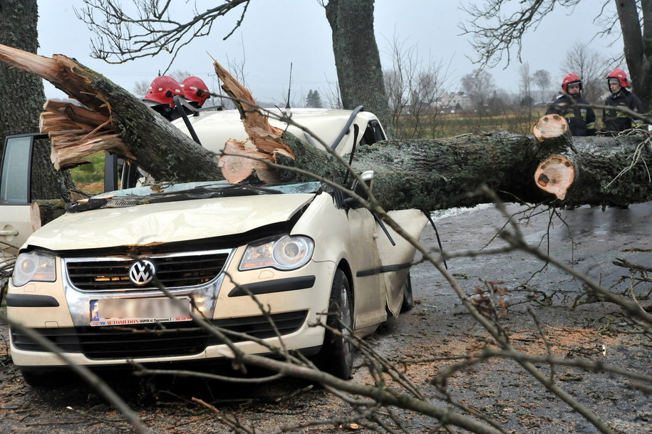 Strażacy na miejscu tragicznego wypadku, do którego doszło na drodze wojewódzkiej nr 213 między miejscowościami Wicko i Poraj w Pomorskim /Jan Dzban /PAP