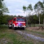 Strażacy nadal prowadzą działania po pożarze w Miasteczku Śląskim