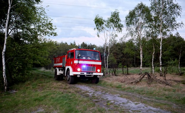 Strażacy nadal prowadzą działania po pożarze w Miasteczku Śląskim