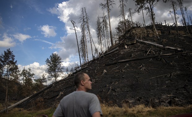 Strażacy opanowali pożar w Czeskiej Szwajcarii