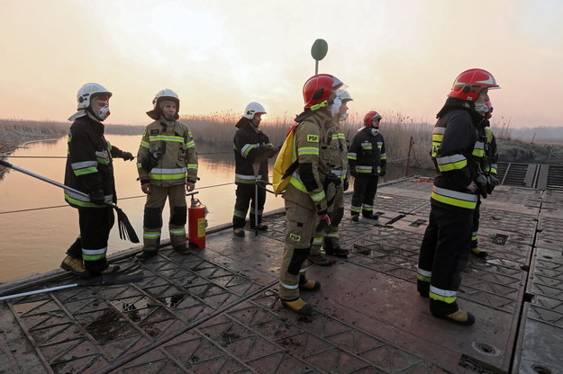 Strażacy podczas akcji gaśniczej w Biebrzańskim Parku Narodowym / 	Artur Reszko    /PAP
