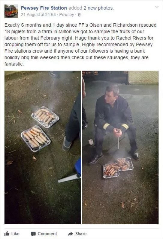 Strażacy podzielili się zdjęciami kiełbasek na swoim fanpage'u /pewsey fire station /Facebook
