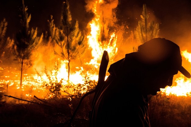 Strażacy robią co mogą, ale ogień wciąż się rozprzestrzenia /Camilo Tapia /PAP/EPA