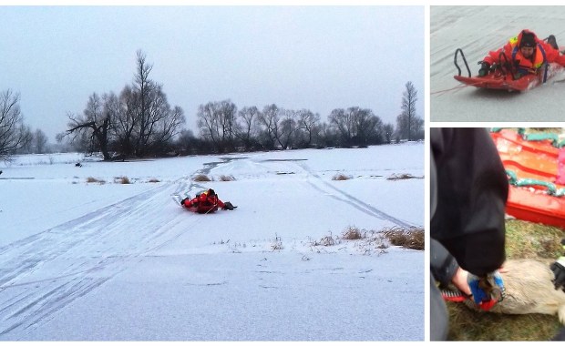 Strażacy uratowali dwie sarny uwięzione na zamarzniętym rozlewisku