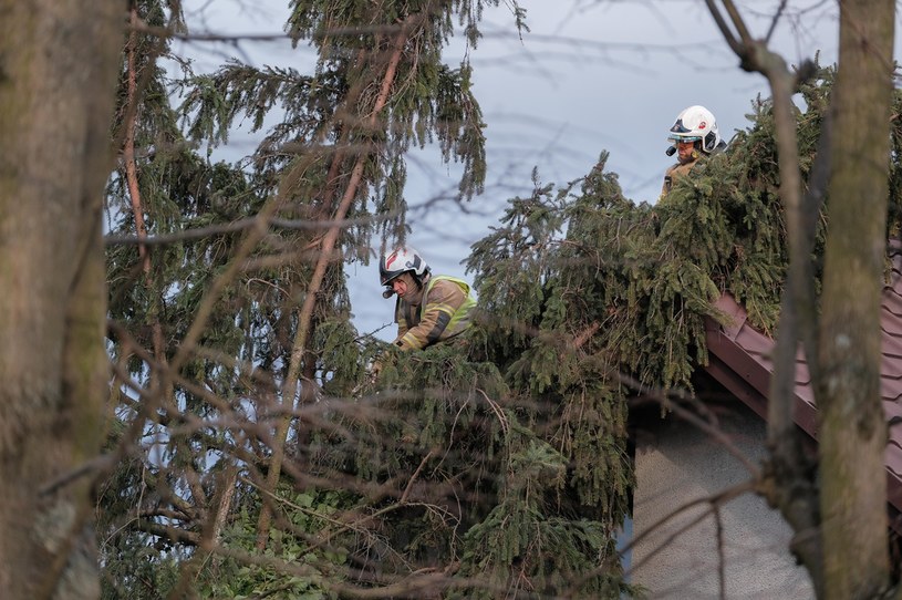 Strażacy usuwają drzewo, które przewróciło się na dom w miejscowości Michałowice k. Warszawy /Mateusz Marek /PAP