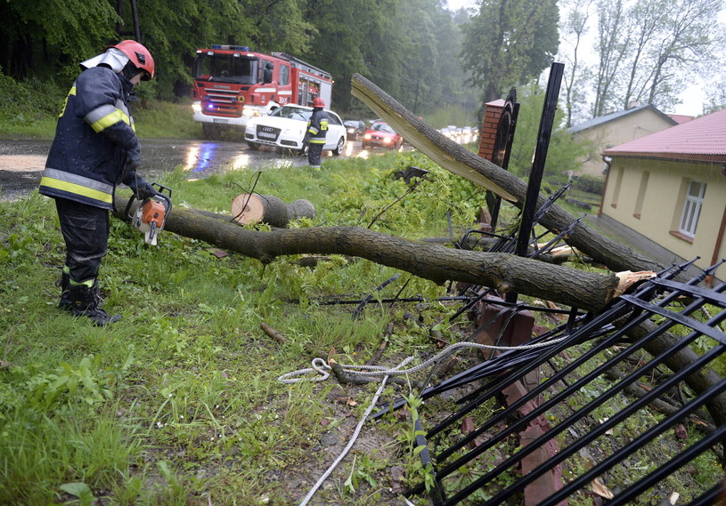 Strażacy usuwają drzewo, które wiatr powalił na drogę i ogrodzenie domu pomocy społecznej w Przemyślu. Na Podkarpaciu wieje silny wiatr i intensywnie pada deszcz /PAP