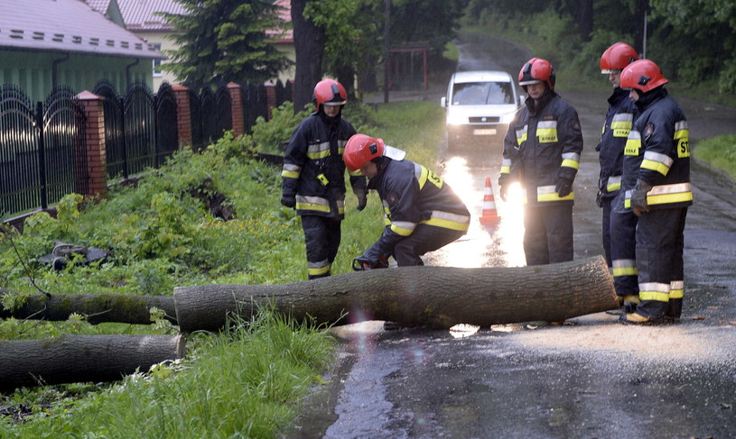 Strażacy usuwają drzewo, które wiatr powalił na drogę i ogrodzenie domu pomocy społecznej w Przemyślu /Darek Delmanowicz /PAP