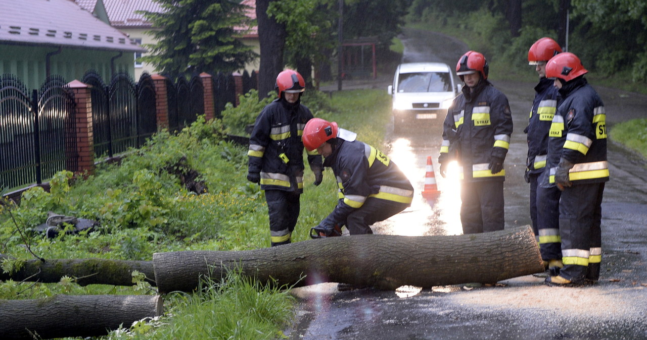 Strażacy usuwają drzewo, które wiatr powalił na drogę i ogrodzenie domu pomocy społecznej w Przemyślu /Darek Delmanowicz /PAP