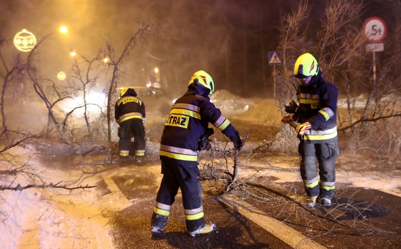 Strażacy usuwają drzewo, powalone na jezdnię w centrum miasta /Grzegorz Momot /PAP