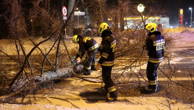 Strażacy usuwają drzewo, powalone na jezdnię w centrum Zakopanego /Grzegorz Momot /PAP