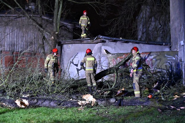 Strażacy usuwają drzewo powalone w wyniku wichury w Szczecinie / 	Marcin Bielecki    /PAP