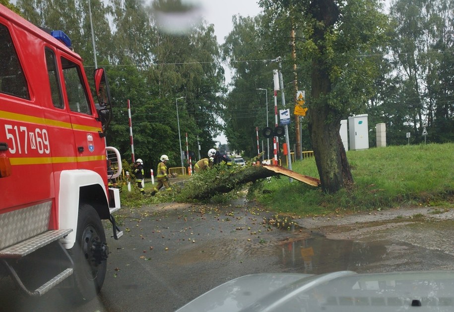 Strażacy usuwają drzewo z drogi po nawałnicy w powiecie oświęcimskim /Gorąca Linia RMF FM