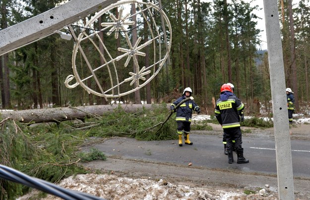 Strażacy usuwają powalone drzewa /Grzegorz Momot /PAP