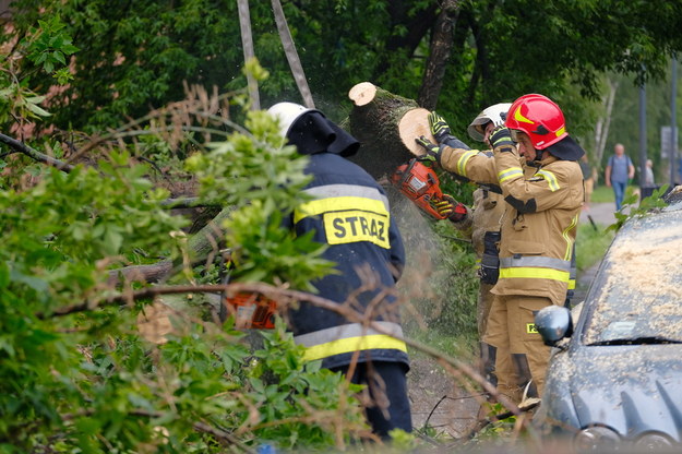 Strażacy usuwają powalone drzewo, po gwałtownej burzy, która przeszła nad Warszawą /Mateusz Marek /PAP
